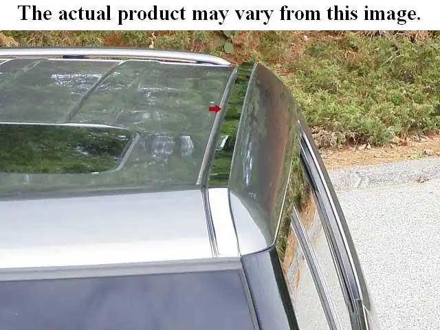 FORD MUSTANG 2dr QAA Stainless 2pcs Roof Insert RI45351 Mega Sale