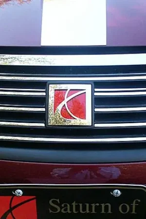 Authentic SATURN ION 4dr QAA Stainless 8pcs Grille Accent SG45410