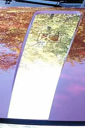 Reduced Price SATURN ION 4dr QAA Stainless 1pcs Hood Accent HD45410