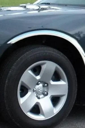 Original DODGE CHARGER 4dr QAA Molded Stainless 4pcs Wheel Well Fender Trim WZ46910