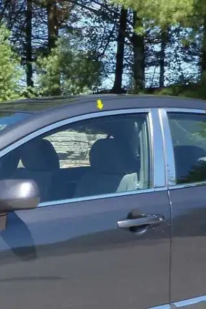 Deal HONDA CIVIC 4dr QAA Stainless 6pcs Window Accent Package WP26215