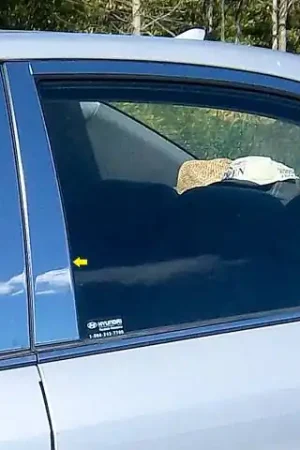 Last Chance Fits Hyundai SONATA 4dr QAA Stainless 6pcs Pillar Trim PP26361