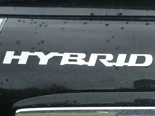 LEXUS RX400h 4dr QAA Stainless 2pcs Graphic/Logo/emblem SGR26125 Handmade