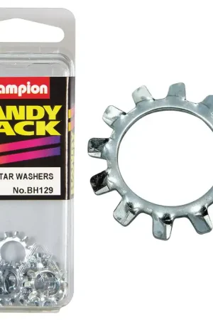 Champion Pack of 15 5\\/16 Zinc Plated External Star Shakeproof Washers - BH129\\ Free Shipping