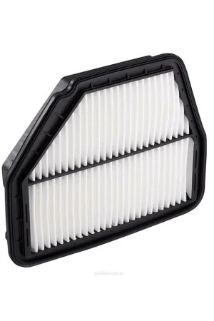 Ryco Air FilterA1638 Exclusive