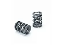 Supertech Nissan RB26 DOHC Dual Spring - Set of 24 Top Pick