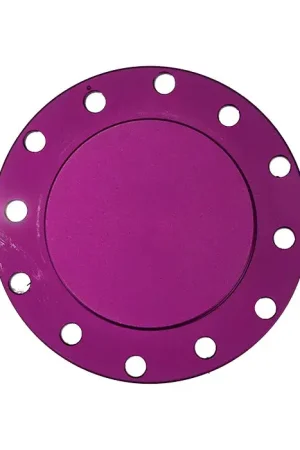 NRG NRG Horn Delete Plate Flush Fitting - Purple Order Now