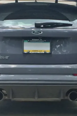 Rally Armor Rally Armor 12-19 Ford Focus ST / 16-19 RS Nitrous Blue UR Mud Flap w/White Logo Place Order